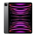 iPad Pro 12.9-inch M2 Wifi Cellular 128GB Space Gray